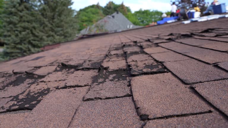 Best Roof Leak Repair  in Kokomo, IN